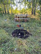 Главные задачи воскресенских лесоводов выполняются