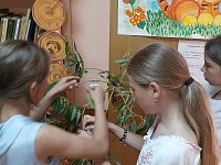 В Синодской сельской библиотеке проходит выставка "Пётр Великий"