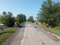 Мы от них устали!