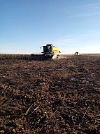 Затянувшиеся полевые работы, наконец, завершены!