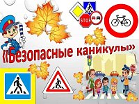 С 24 октября 2022 года по 10 ноября 2022 года на территории Вольского муниципального района провидится областное профилактическое мероприятие «Внимание, осенние каникулы!».