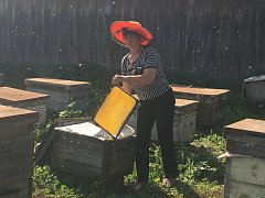 Пчеловод- медовая профессия!