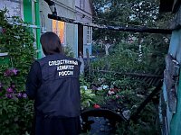 В Воскресенском женщину убило током